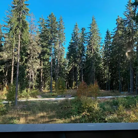 Evrika 21 * Pamporovo