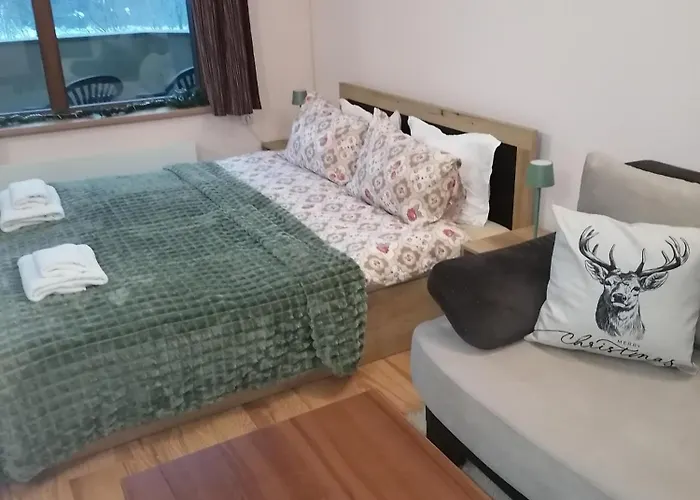 Apartment Evrika 21 Pamporovo