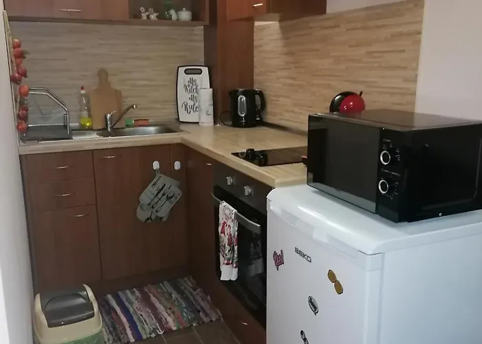 Apartment Evrika 21 *