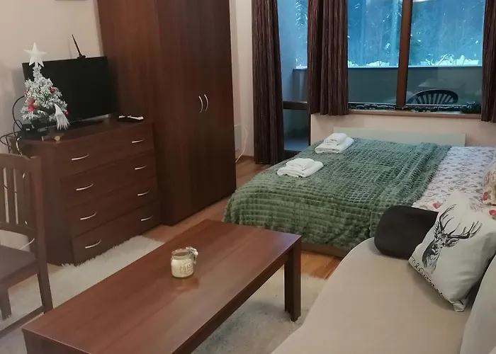 Evrika 21 Apartment Pamporovo