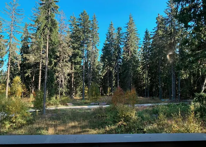 Evrika 21 * Pamporovo